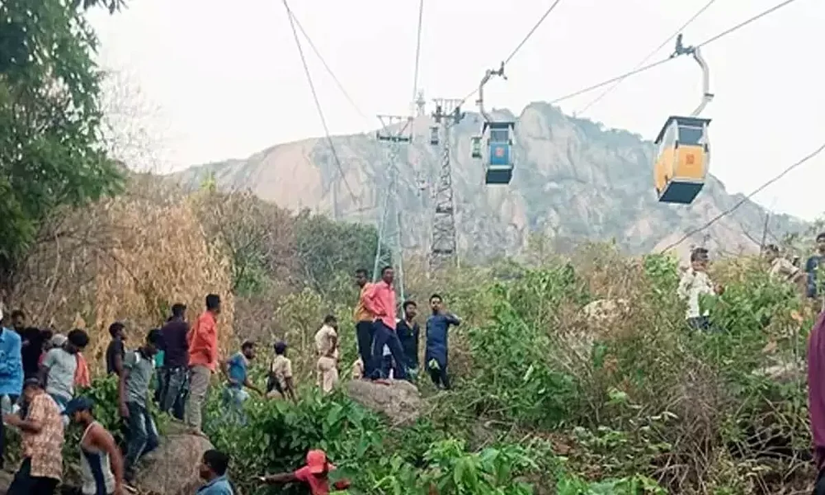 Cable Car Mishap: Jharkhand HC Takes Suo Moto Cognizance Of Incident