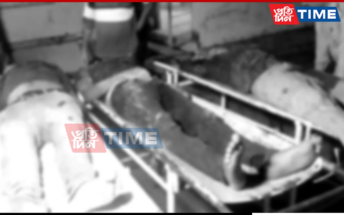 Assam: 3 Dacoits Shot Down In Encounter In Goalpara