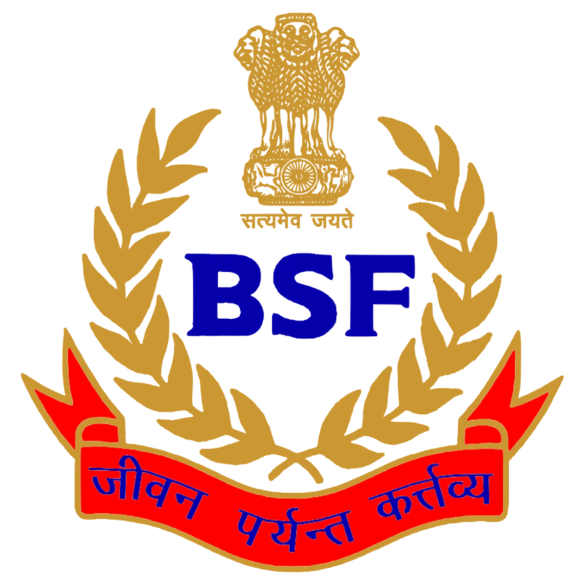 BSF Seizes Phensedyl from India-Bangladesh Border
