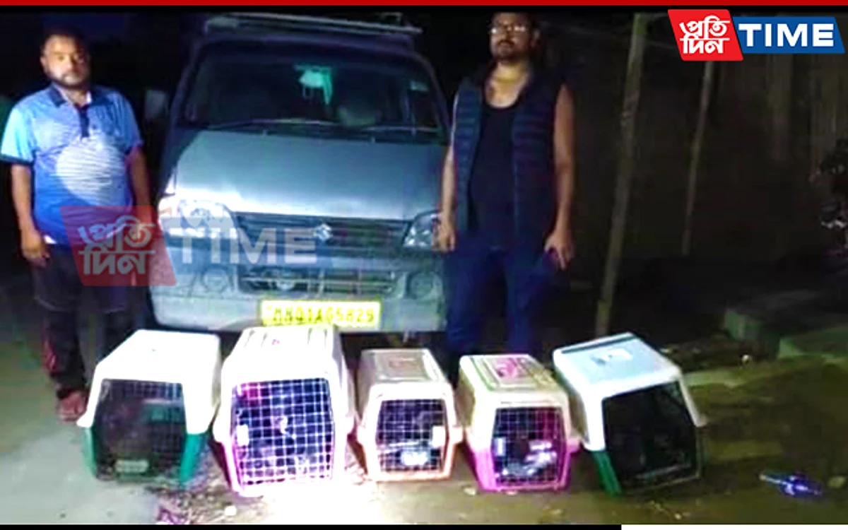 Assam: Police Rescue 5 Chimpanzees in Bokajan