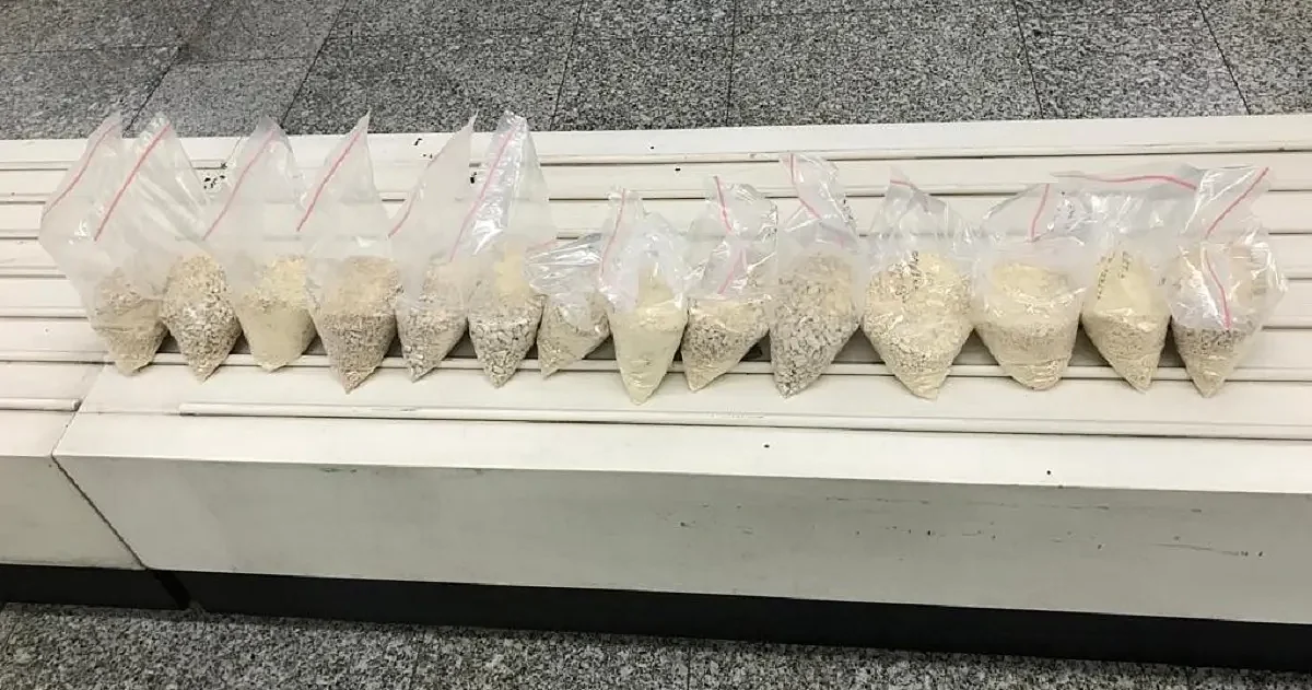 Kolkata: Heroin worth Rs 113 Crore Seized, 3 African Nationals Arrested