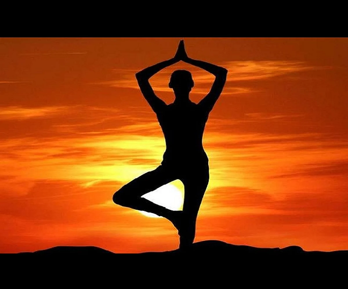 Ministry of Fisheries to Organize Yoga Countdown Programme on May 9