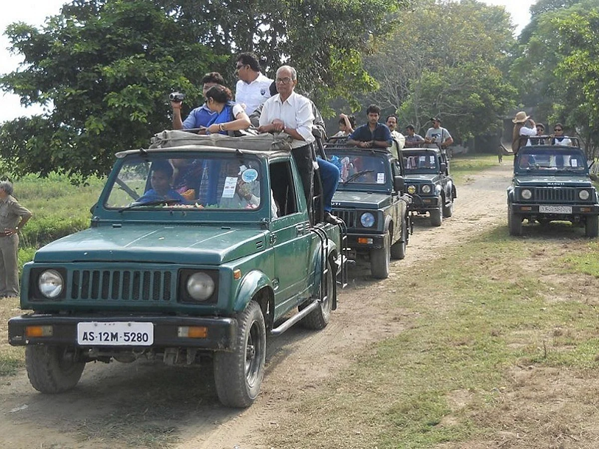 Assam: Jeep Safari at Kaziranga to be Closed from May 20