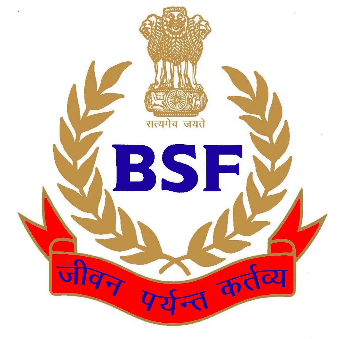 Assam: BSF Jawan Dies in Silchar