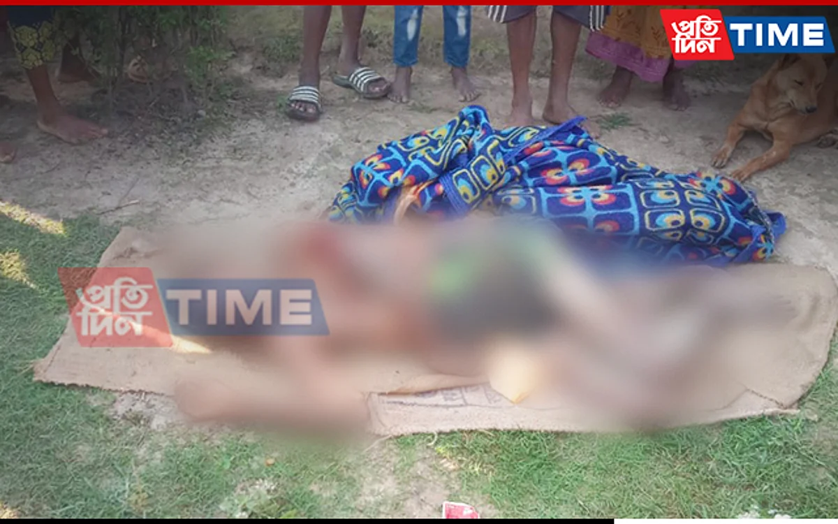 Man attacked by elephants in Nagaon district of Assam