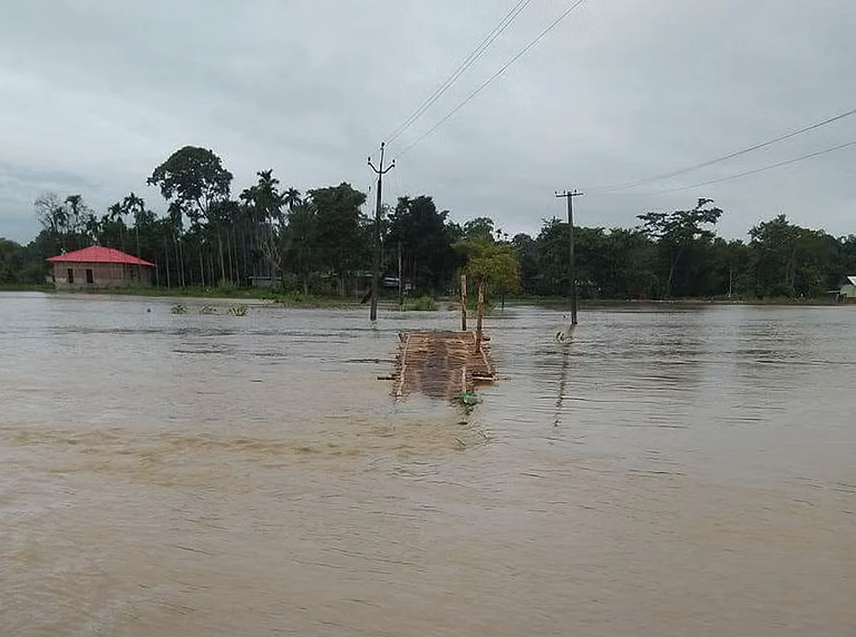 Chatrang river in Assam's Gohpur