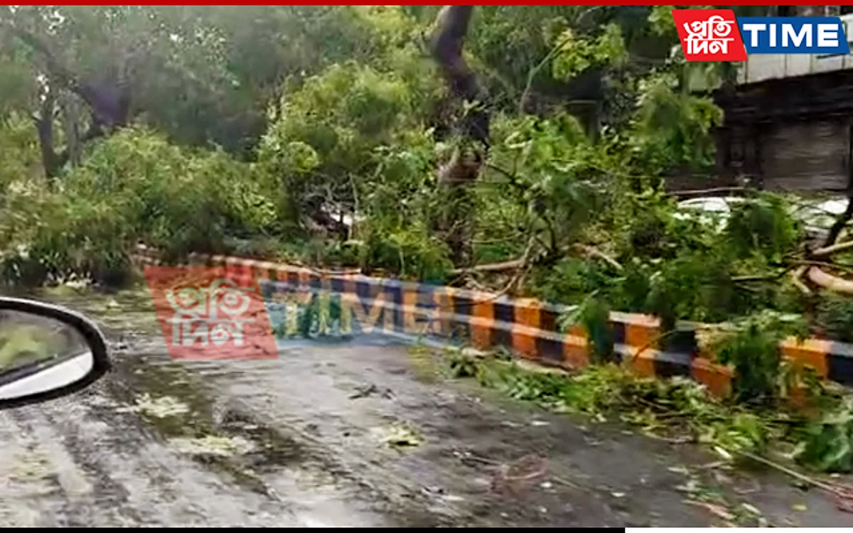 Thunderstorm Hits Delhi, Normal Life Disrupted