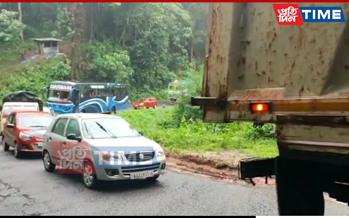 A long line of vehicles queued up waiting for the tree to be removed in Kaliabor