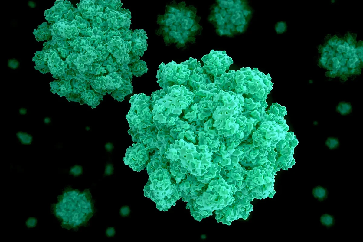 Kerala Reports 2 Confirmed Norovirus Cases This Month
