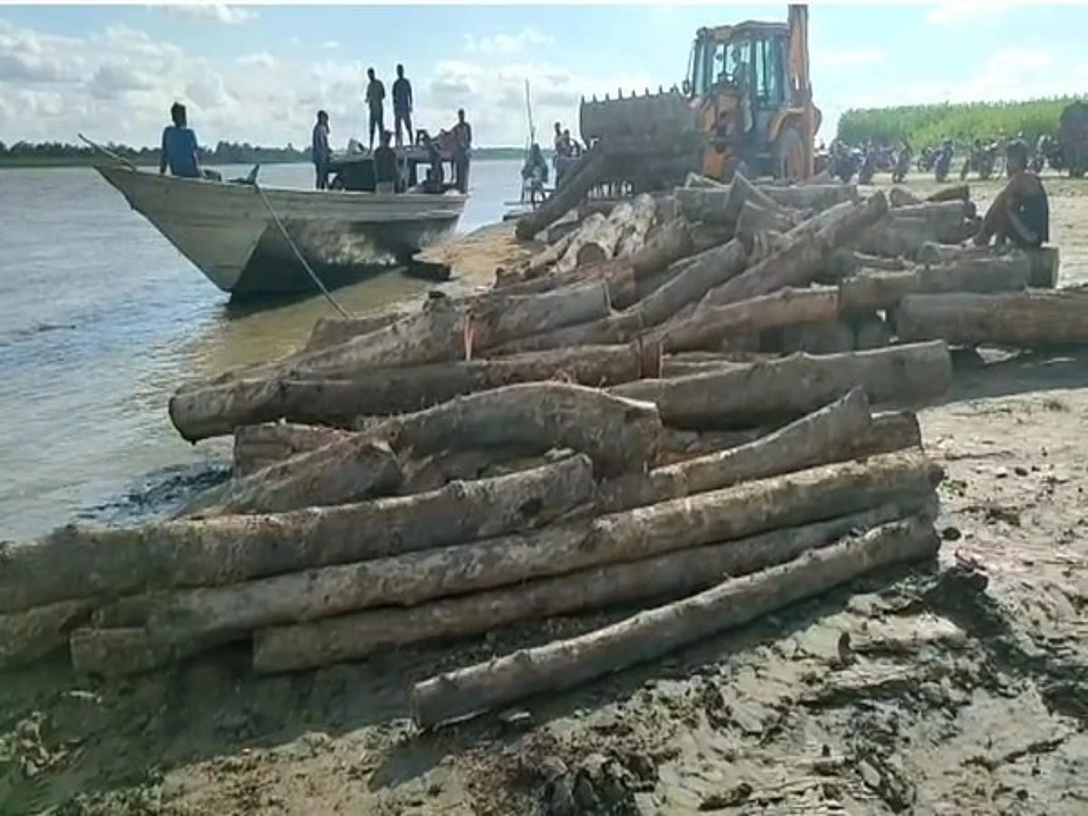Huge Quantity Of Illegal Timber Seized In Assam's Barpeta