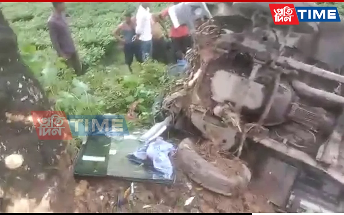 10 Injured In Run-Off-Road Crash In Assam's Cachar