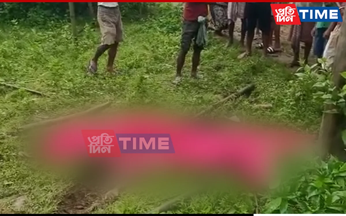 Woman killed by wild elephant in Tamulpur