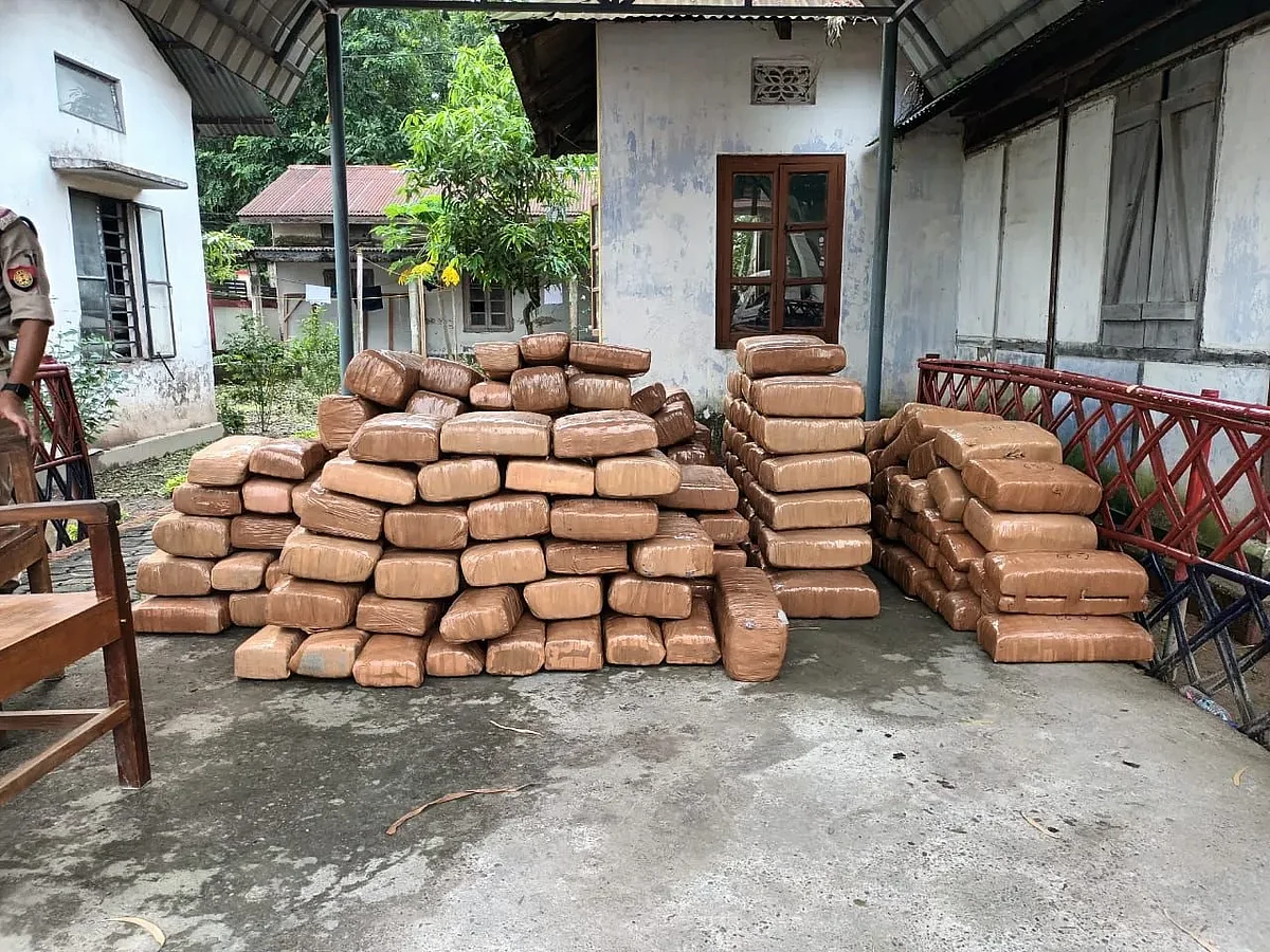 Massive quantities of cannabis was seized during an operation in Assam's Kokrajhar | Image: Twitter/ Kokrajhar Police