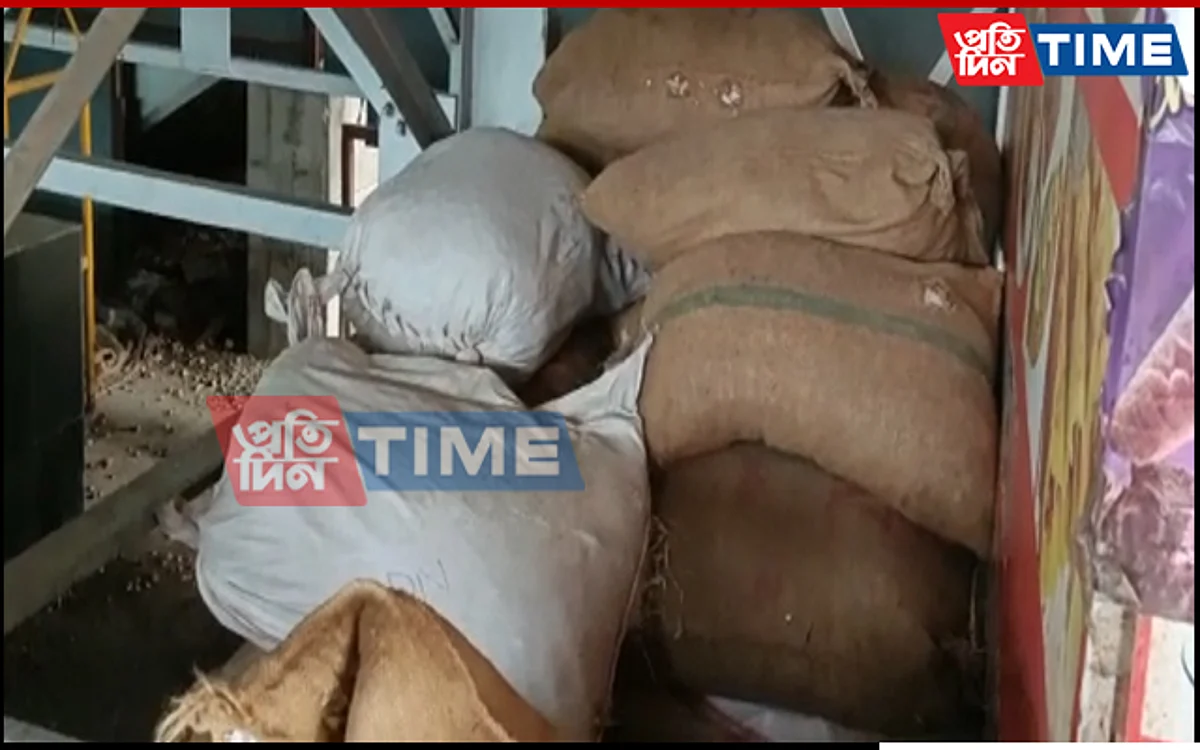 Burmese Areca Nuts Worth Rs 50 Lakhs Seized