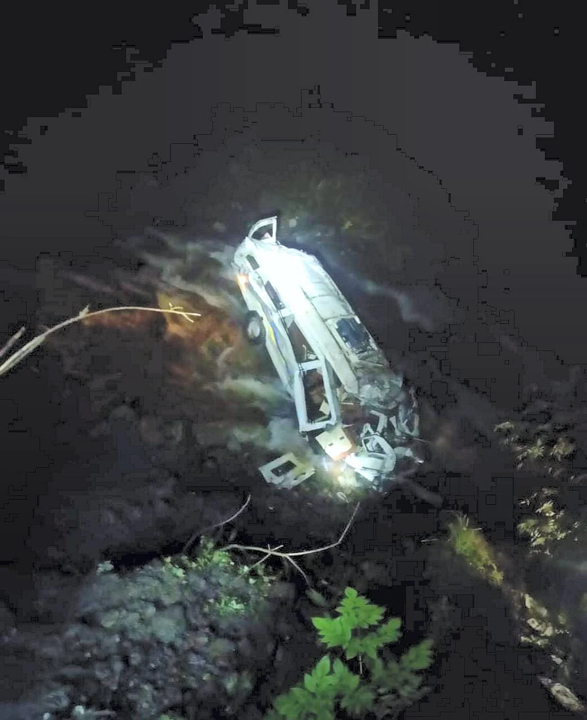Bus falls into gorge in Himachal Pradesh