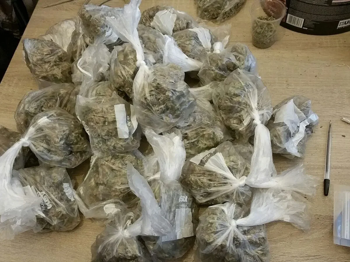 Huge quantities of cannabis were seized by Assam Police in two separate busts | REPRESENTATIVE