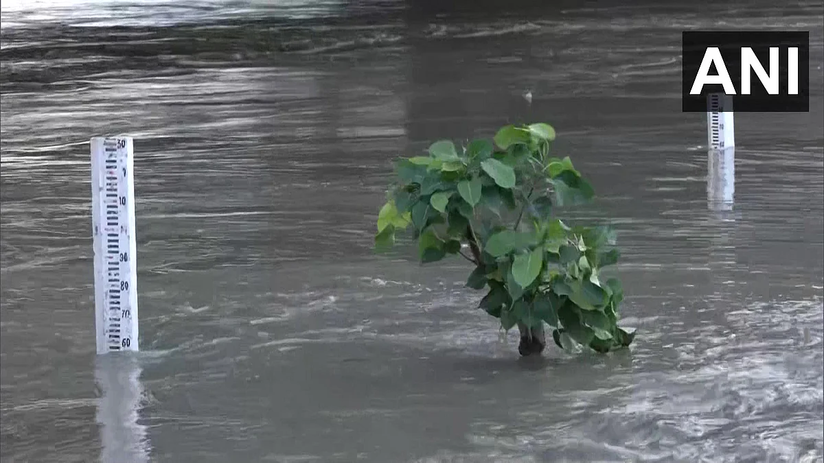 Yamuna River crosses danger level | photo credit: ANI
