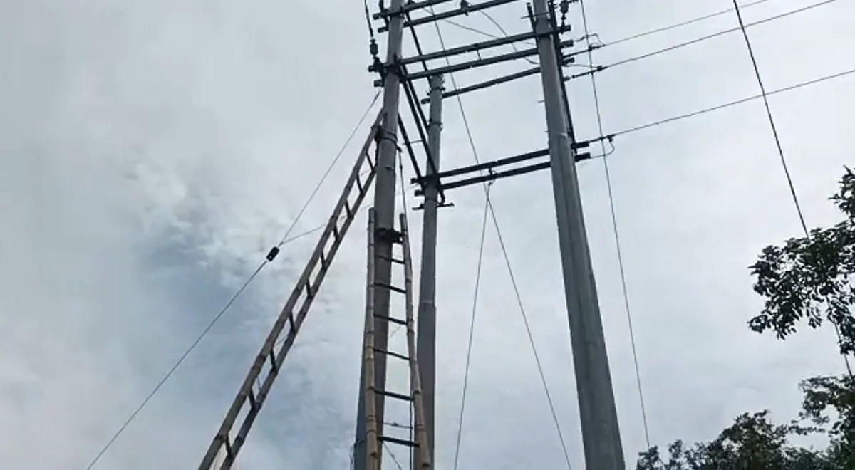 Assam: Labourer Dies Of Electrocution, 2 Others Injured