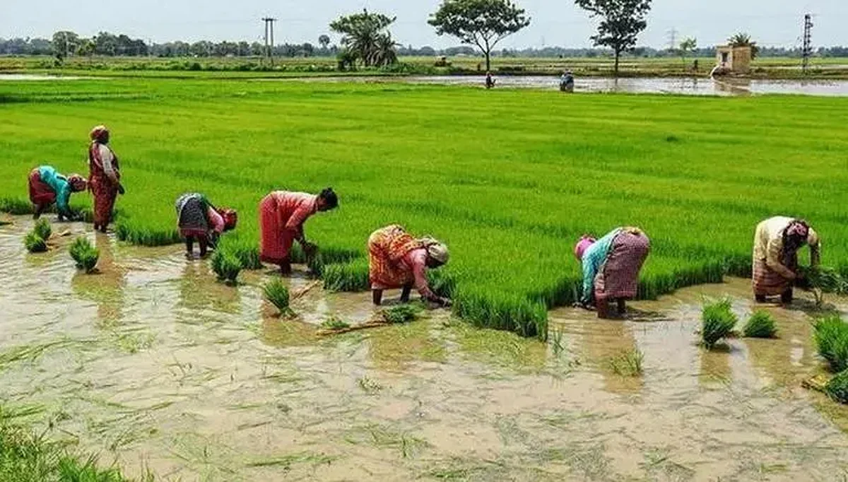 Kharif Crops