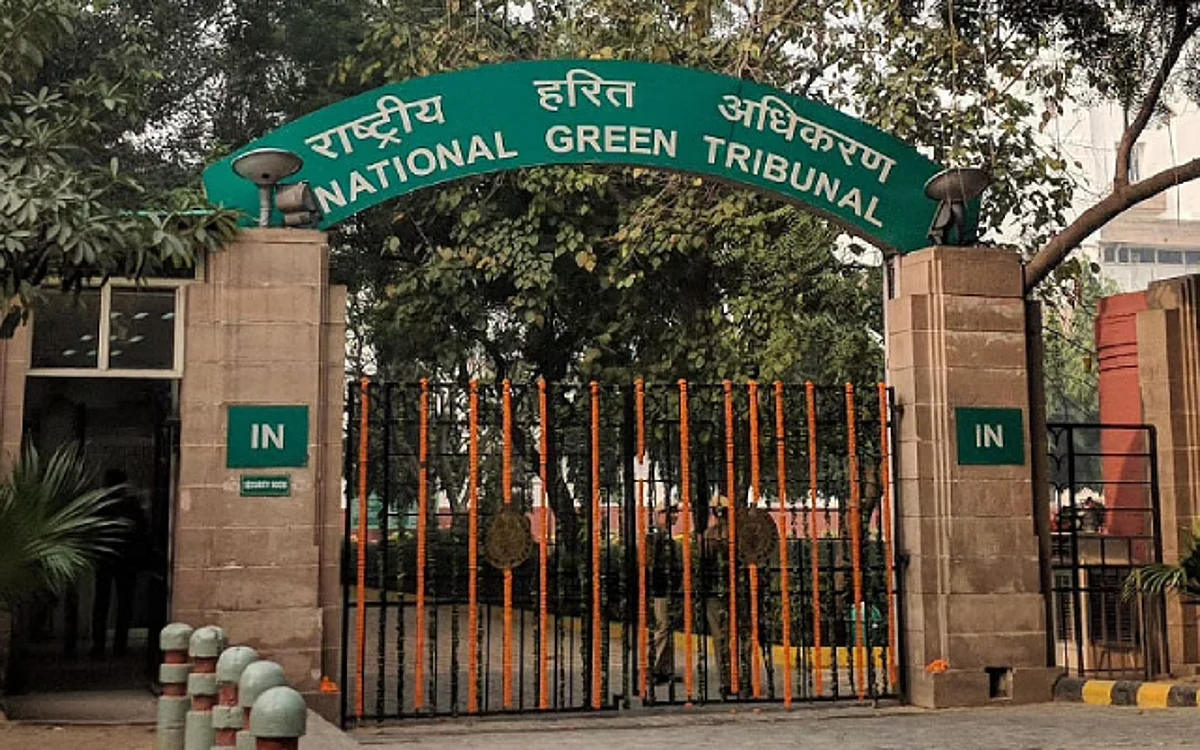 NGT bench formed a three-member committee to find the violators for illegally cutting 6000 trees in Corbett Tiger Reserve | REPRESENTATIVE