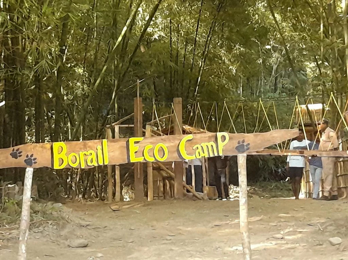Borail Eco Camp in Assam