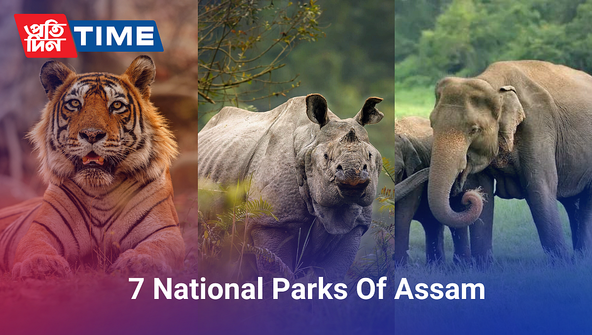 National Parks Of Assam