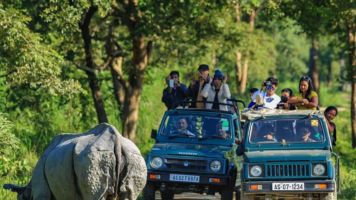 Jeep safari in Kaziranga National Park | file image