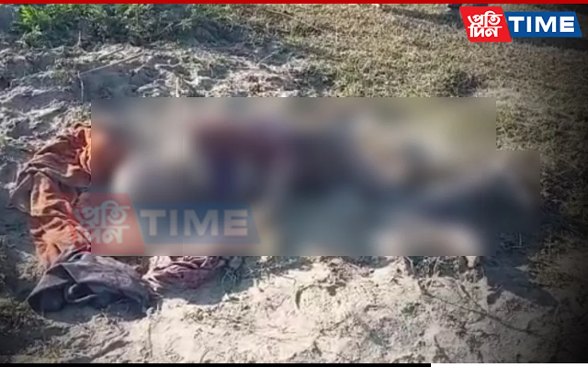 One person killed in rhino attack in Assam's Bokakhat