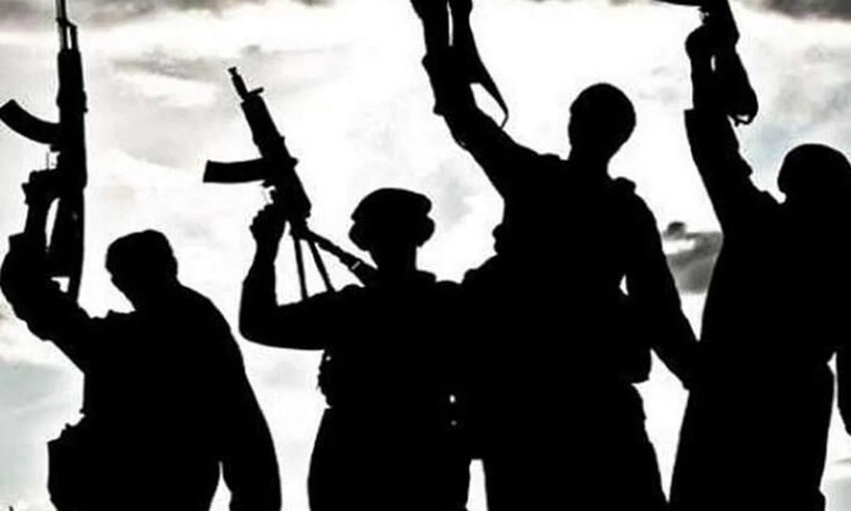 Assam: 1000 Bru Militants to Surrender Arms on Dec 12