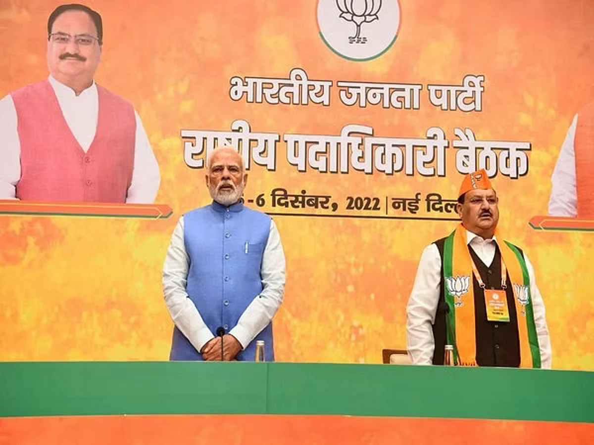 Make Every Indian Part of G20 Presidency Glory: PM Modi Tells Party Workers
