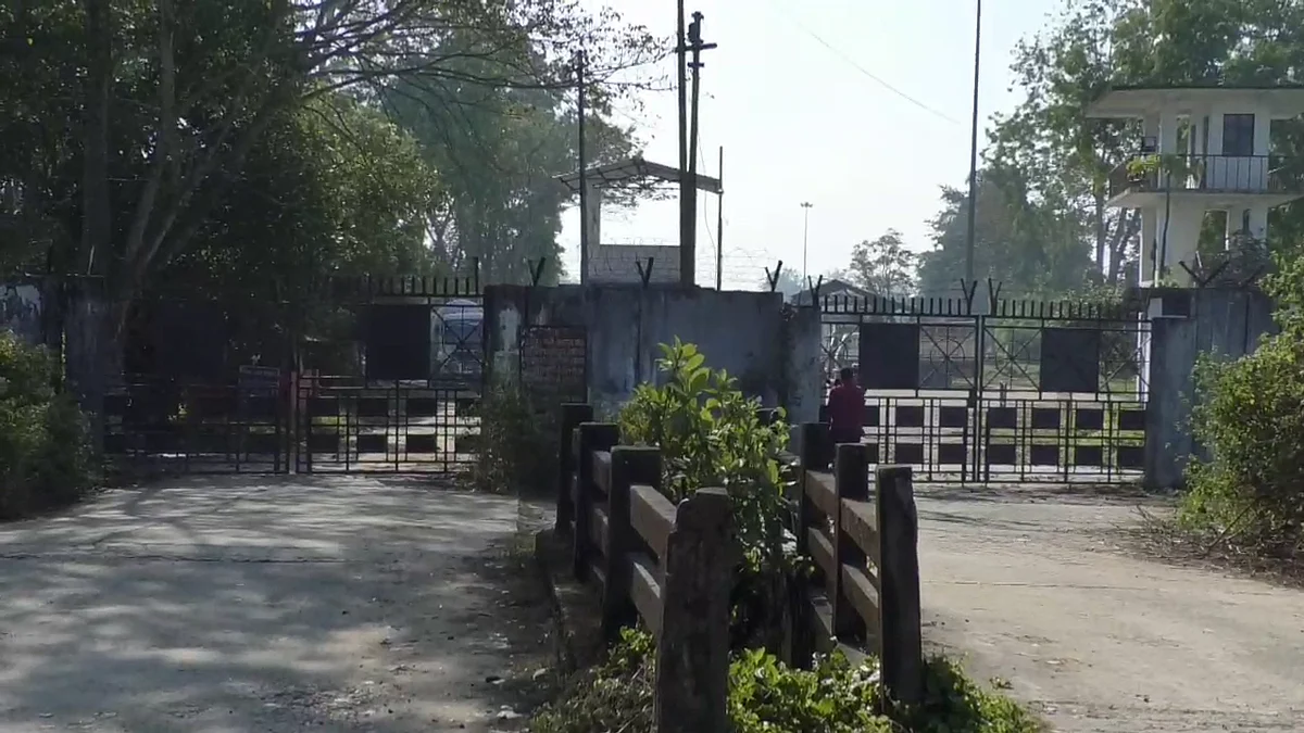 Assam: Residents Panic as Two Leopards Stray Inside OIL Township at Duliajan