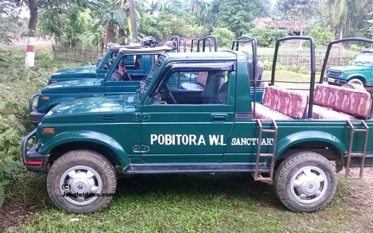 The Drivers Association of Pobitora Wildlife Sanctuary complained of unruly behaviour by government officials