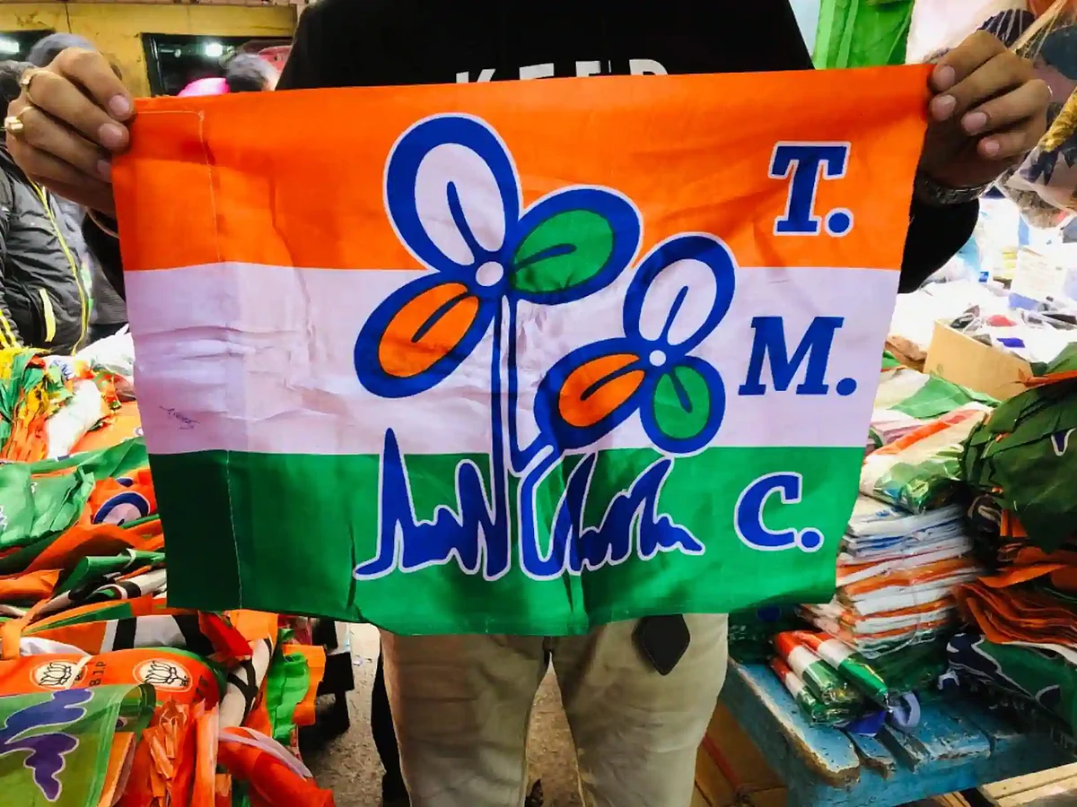 TMC Flag
