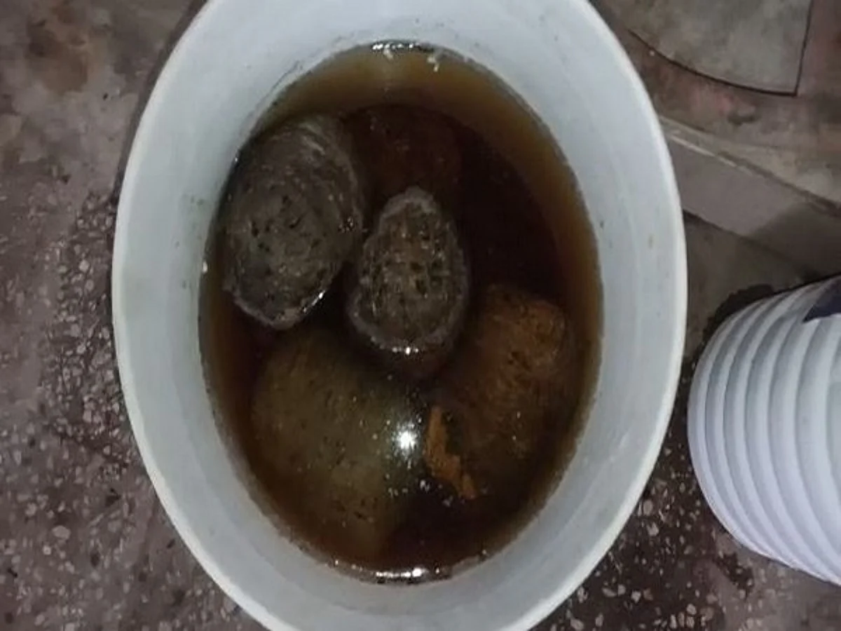 Eight Live Bombs Recovered From Bihar Fruit Seller