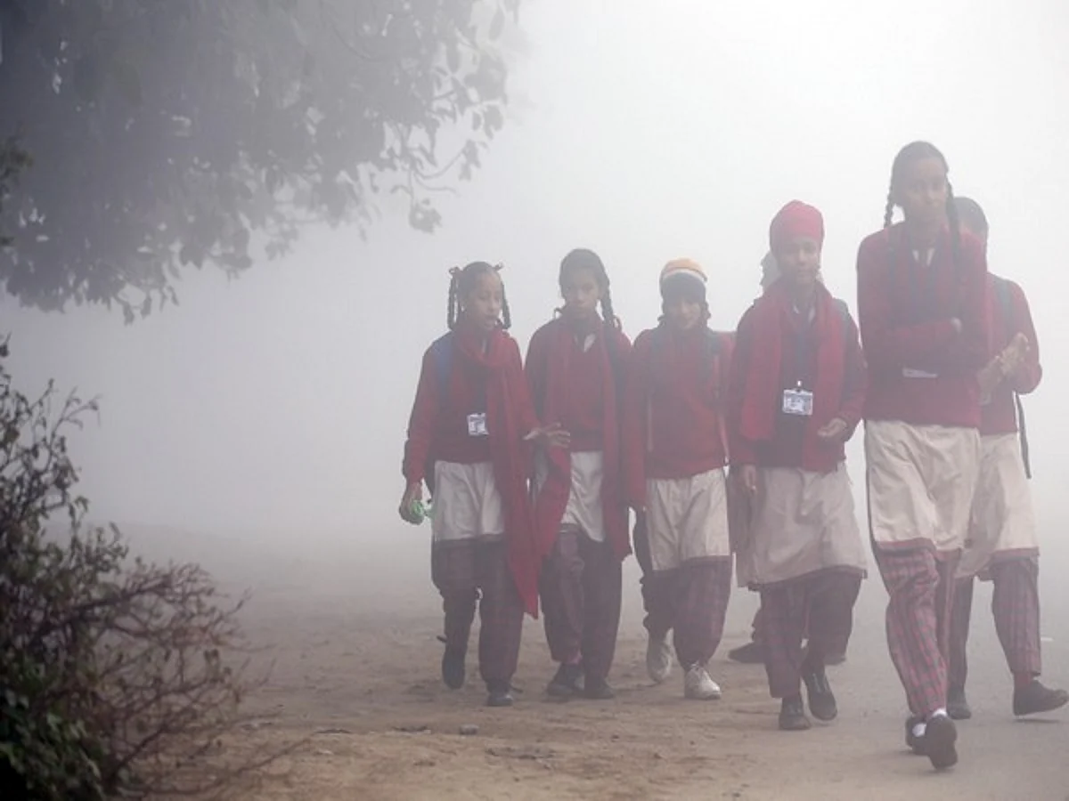 Delhi Govt Urges Private Schools to Remain Close till Jan 15 Over Cold Wave