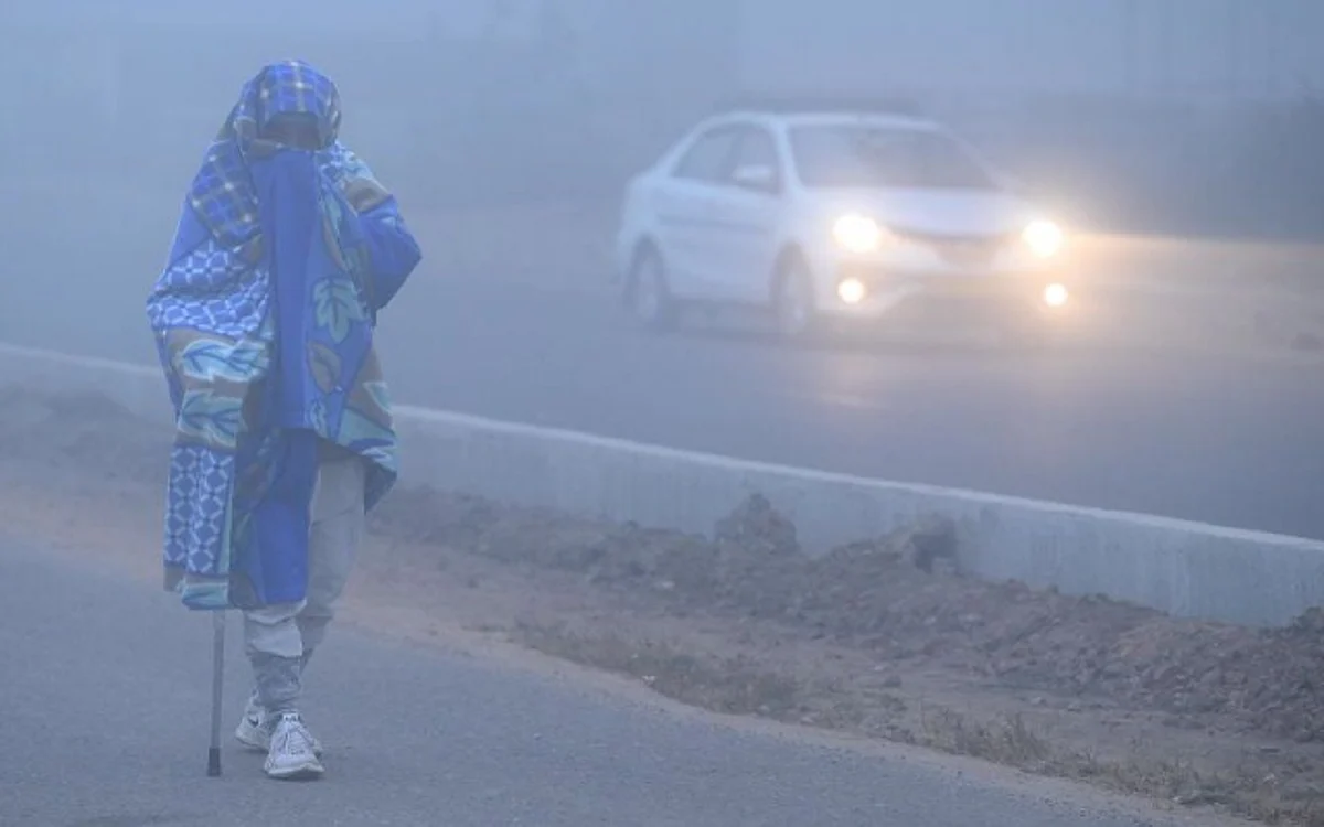 Delhi cold wave