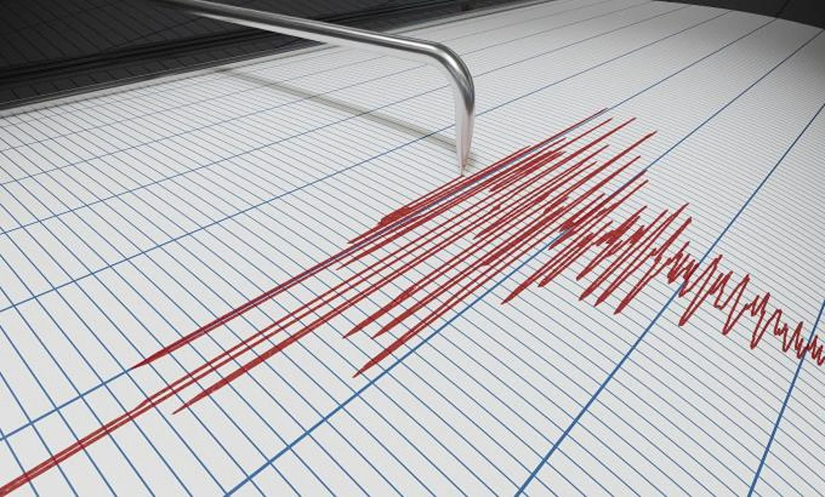 An earthquake of 5.1 magnitude struck the Bay of Bengal | REPRESENTATIVE