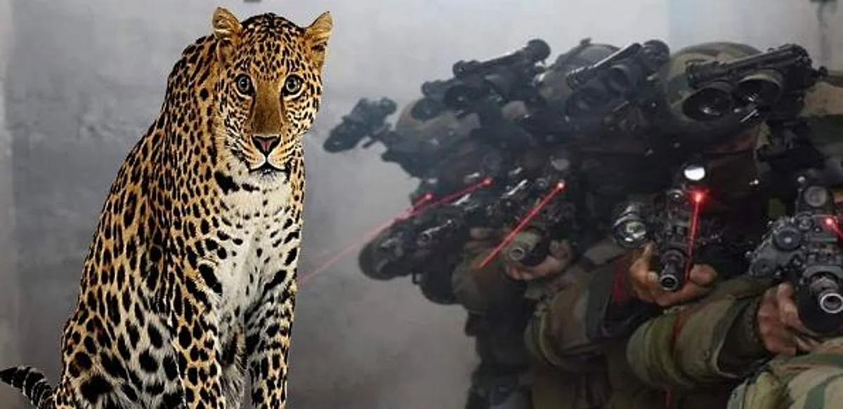 Army used Leopard’s urine in Surgical Strike
