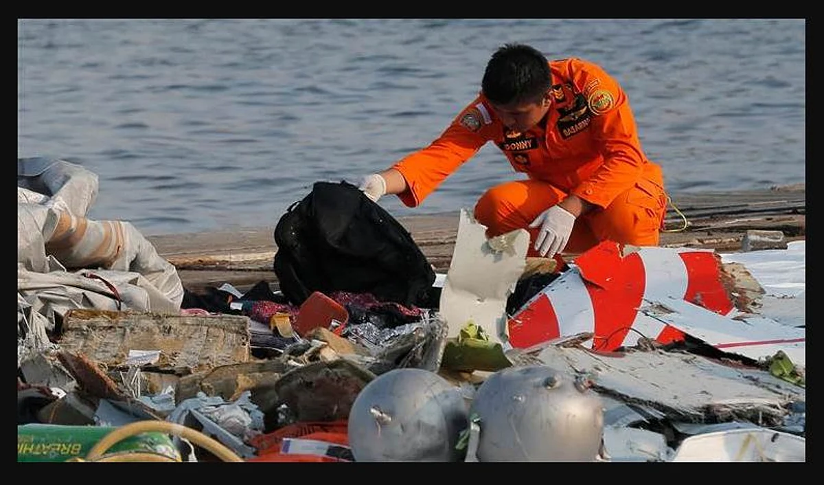 More remains recovered near Jakarta plane crash site