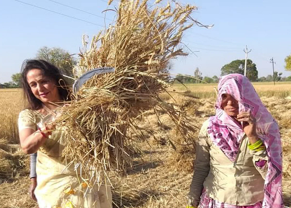 Hema Malini starts campaigning from wheat farms