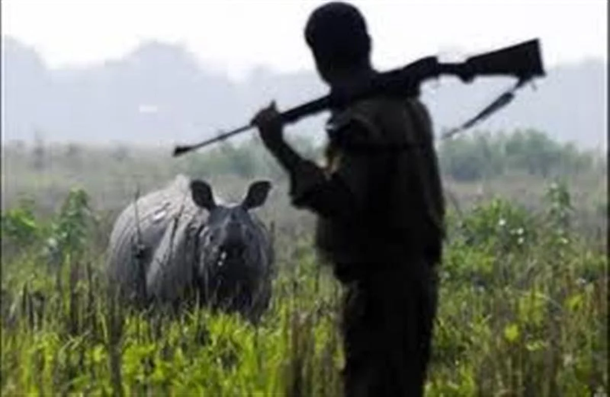 Kaziranga Records Zero Rhino Poaching in 2019