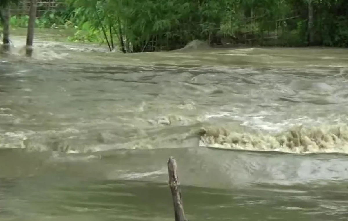 Water levels rising again in lower Assam