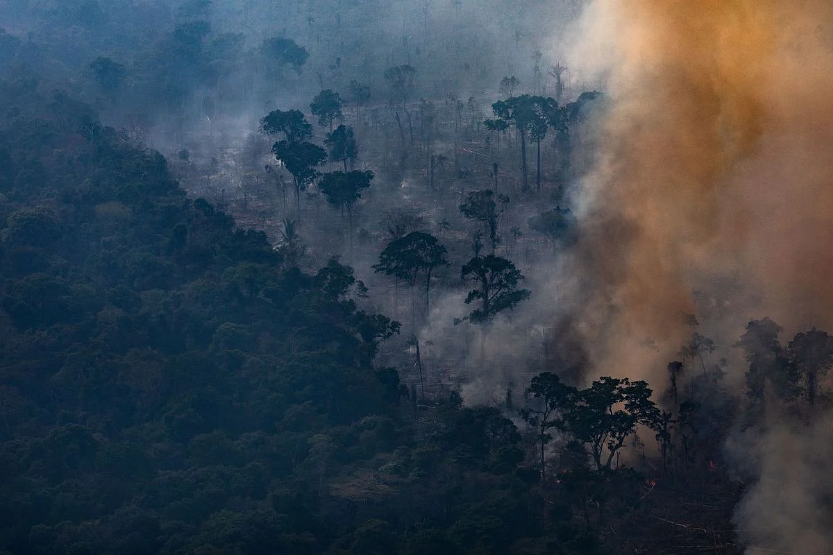 Amazon Fire: Brazilian Prez Criticizes Protection Policies
