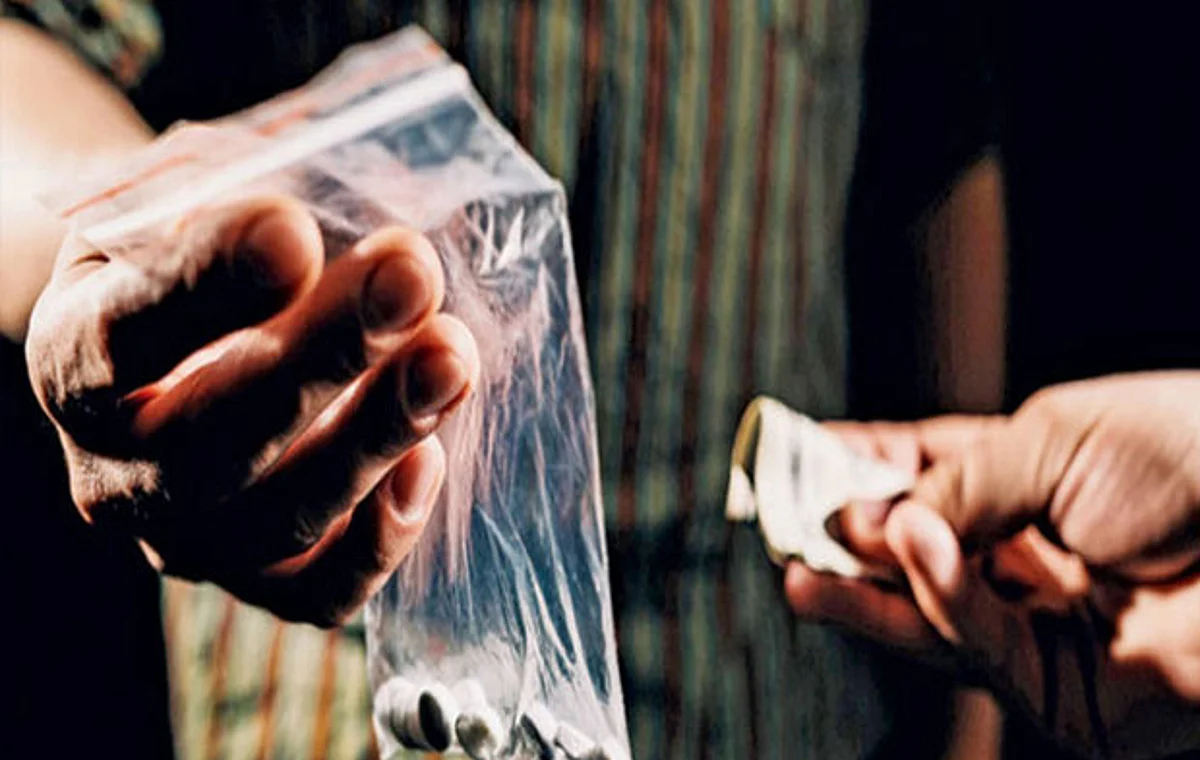 War Against Drugs: Over 450 Drug Peddlers Held In Assam So Far
