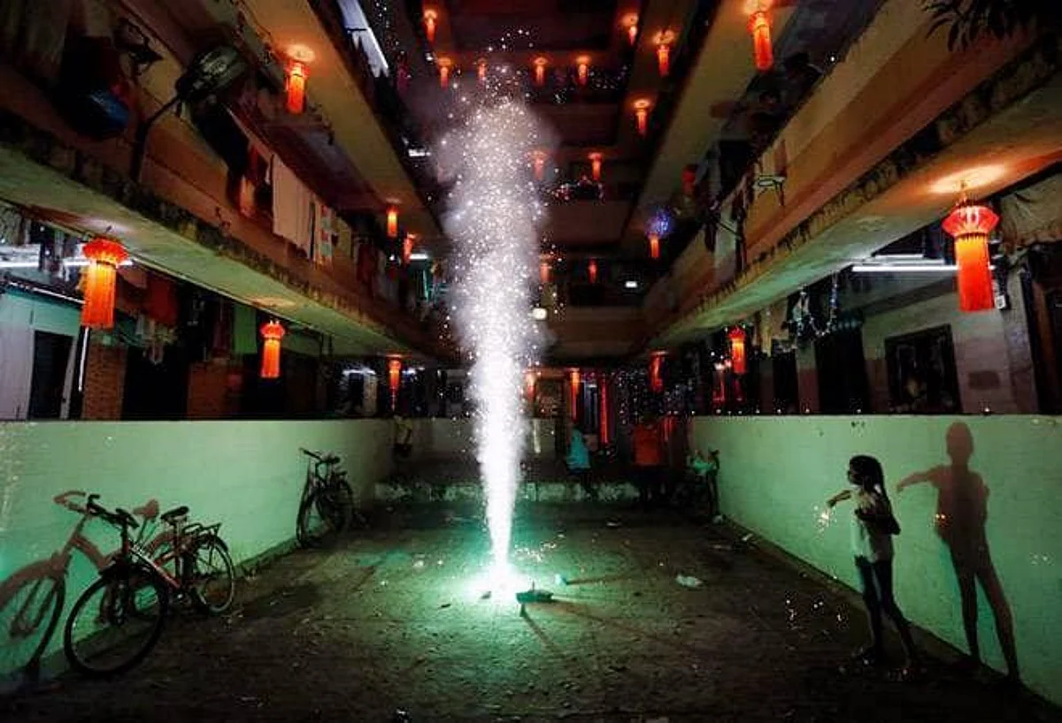 Assam Govt Bans Use and Sale of Firecrackers in Diwali