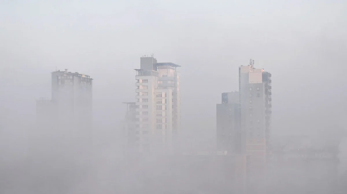 Air Pollution Killed 1.7 Mn Indians In 2019