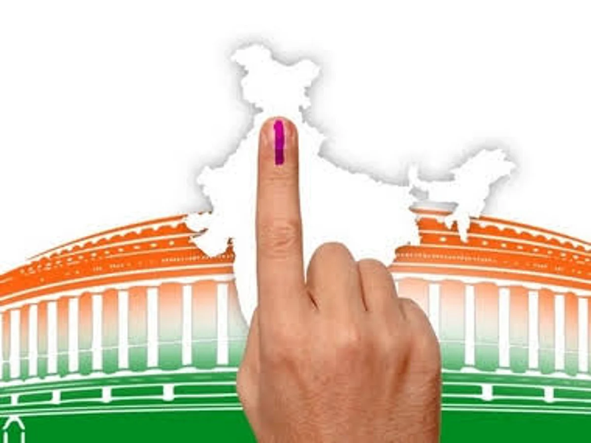 Petition in SC seeks probe in LS election results