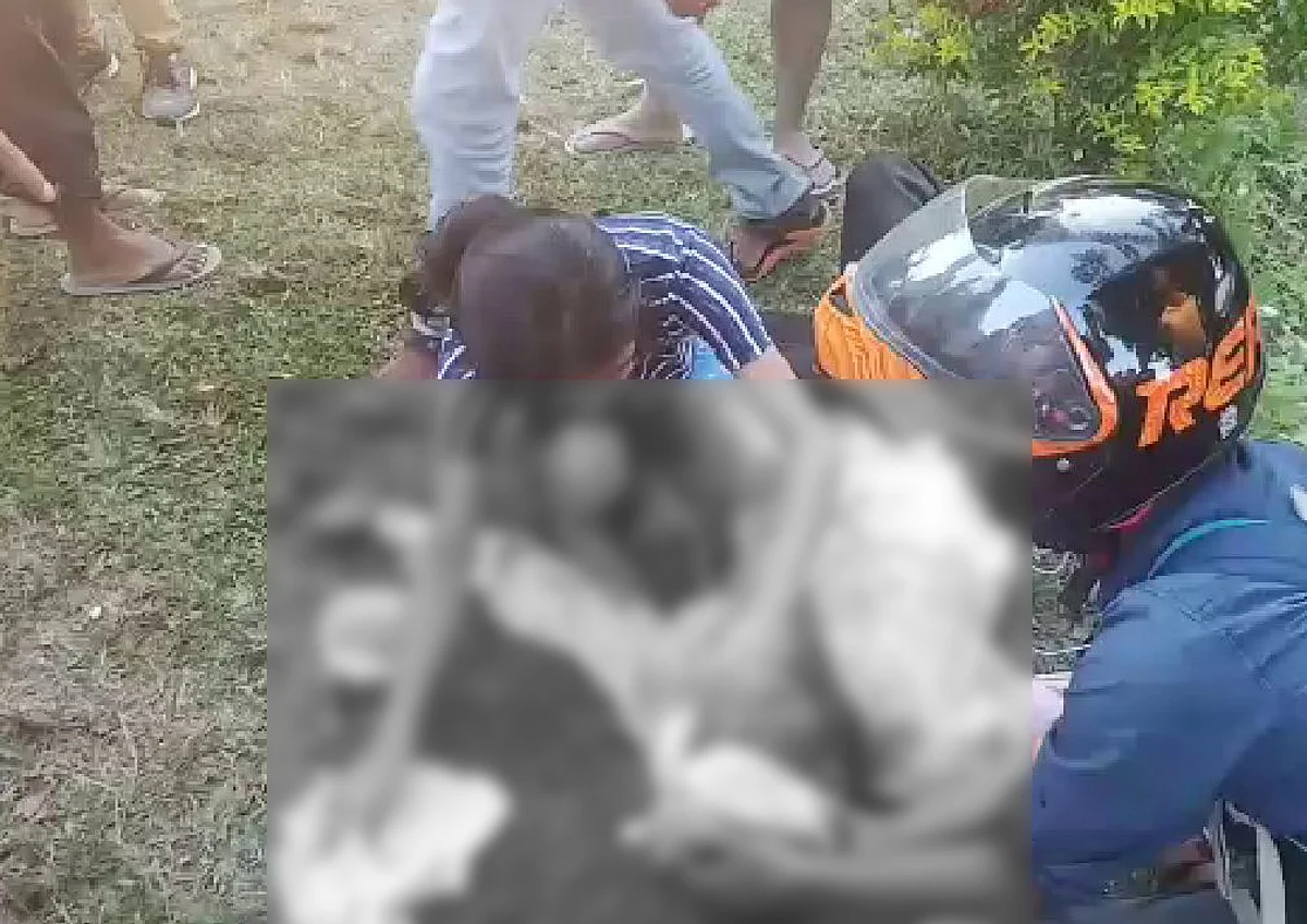 Senior citizen attacked by Traveller handyman
