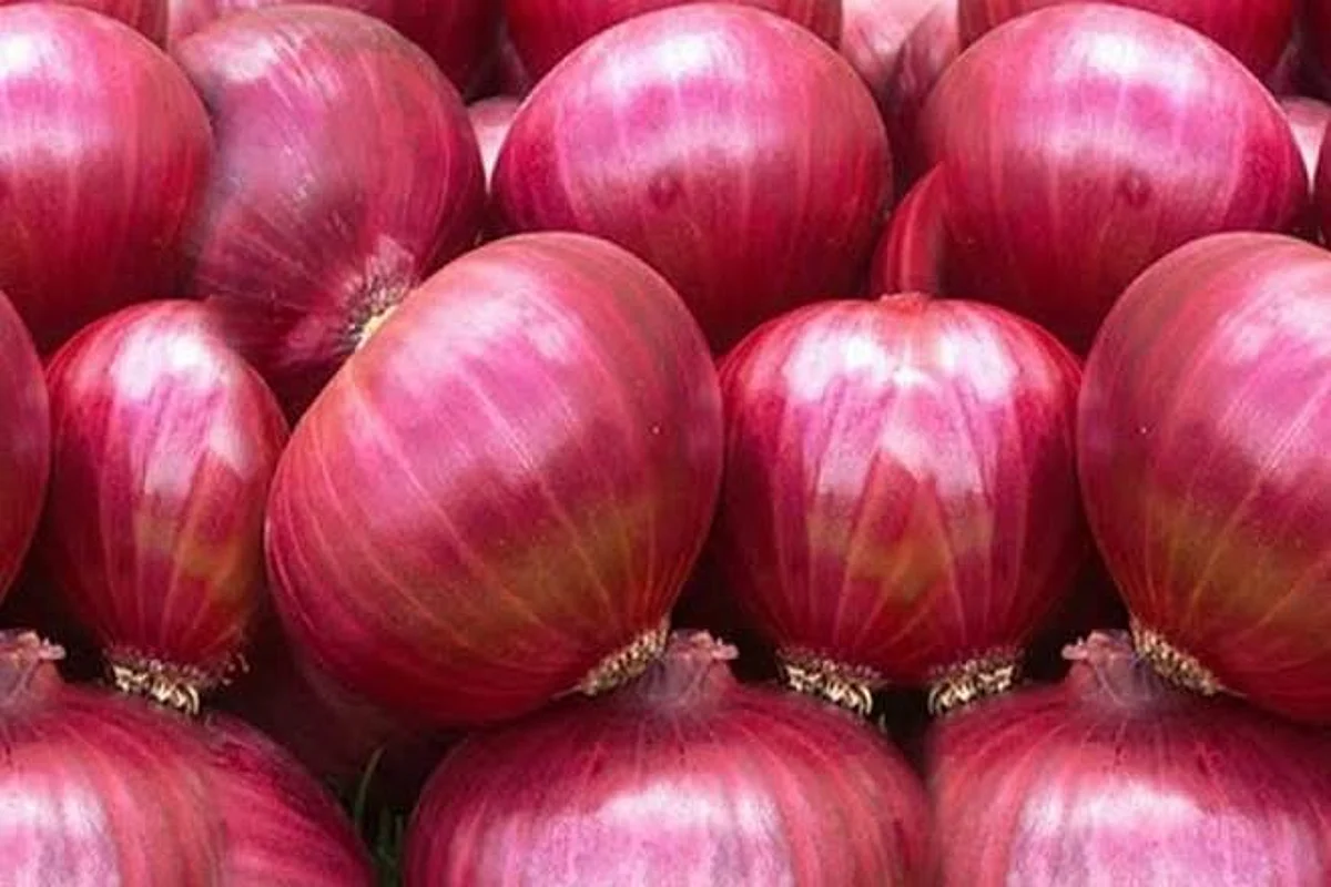 Central Govt to Offload 50,000 Tonnes of Onions to Guwahati | Representative Image