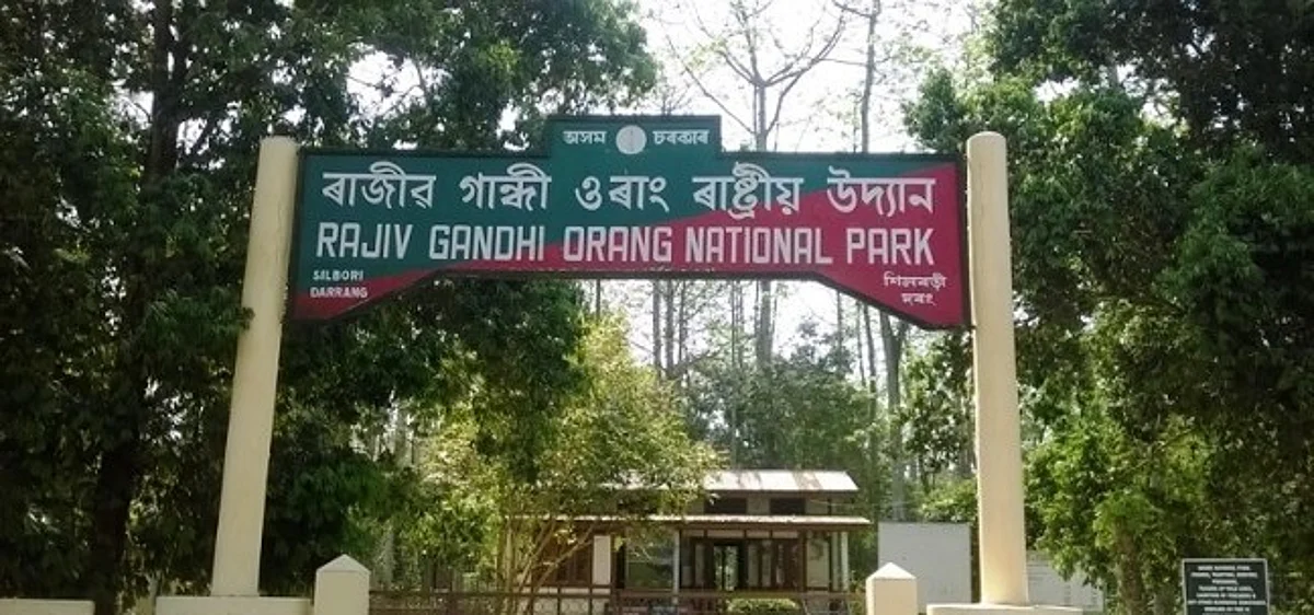Assam: Tiger Kills Baby Rhino In Orang National Park